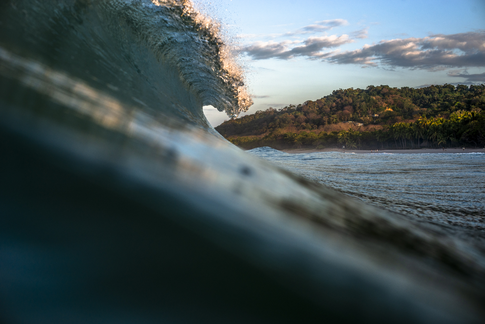Surf